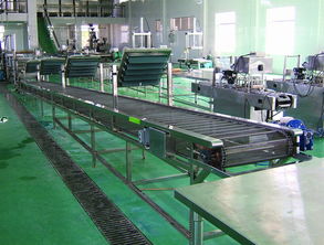 供應網帶輸送機 廠家直銷 非標定制 價格優惠質量保證 為您提供一流的產品以及完善的售后服務圖片,供應網帶輸送機 廠家直銷 非標定制 價格優惠質量保證 為您提供一流的產品以及完善的售后服務高清圖片