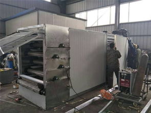 橡木烘干設(shè)備 舜發(fā)木材烘干機(jī) 海南烘干設(shè)備高清圖片 高清大圖