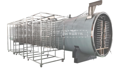 食品凍干機(jī)在滋補(bǔ)品凍干魚膠加工應(yīng)用