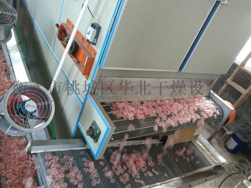 衡水干燥設備廠與衡水市桃城區華北干燥設備廠 專業干燥設備供應商概覽